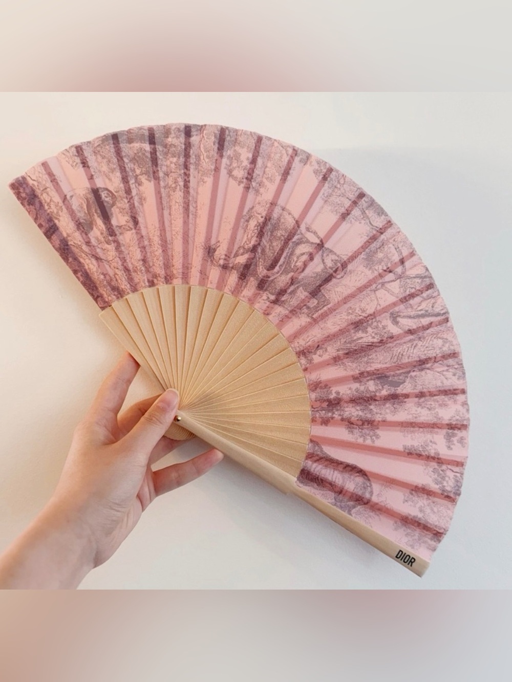 Dior Beauty Foldable Pink Fan
